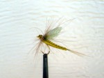 DSC02845 web.jpg